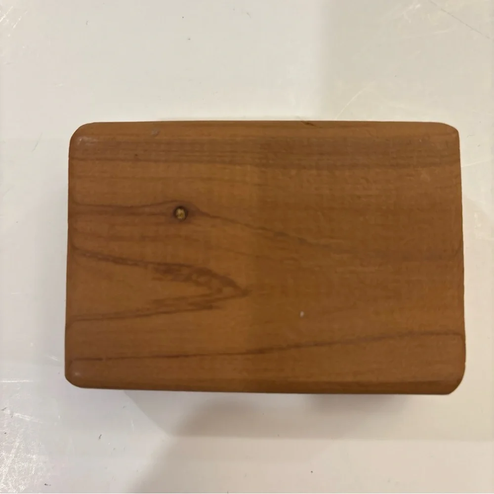 Cedar Blocks From L L Bean Lot Of 11 To Protect Clothing